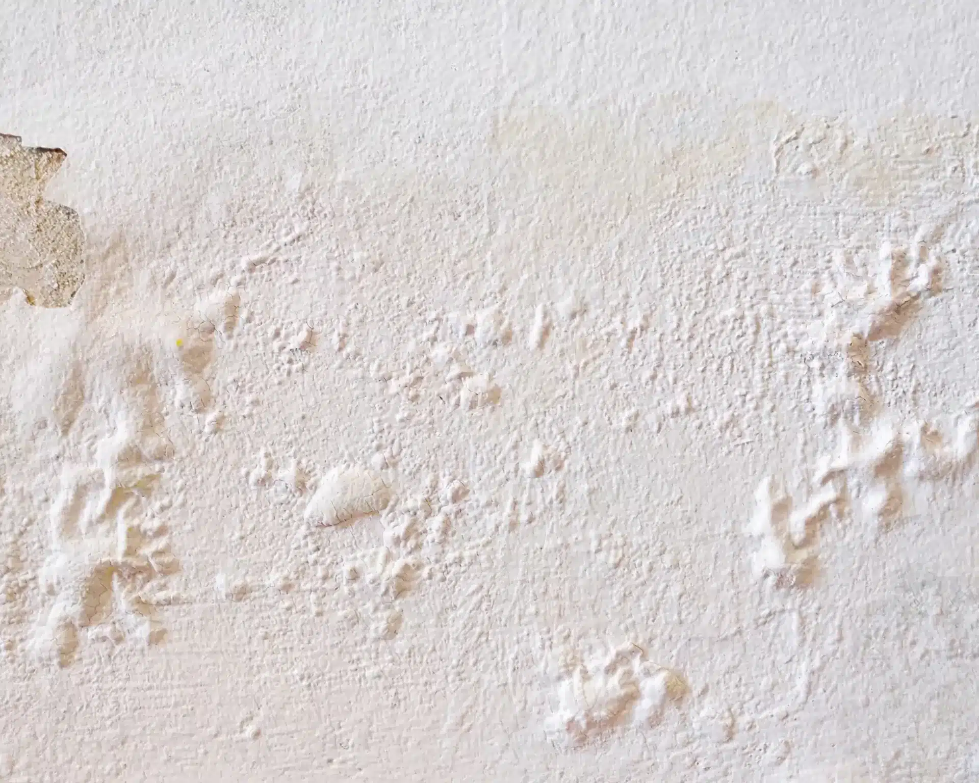 Pittura che si stacca da un muro per l'umidità di risalita